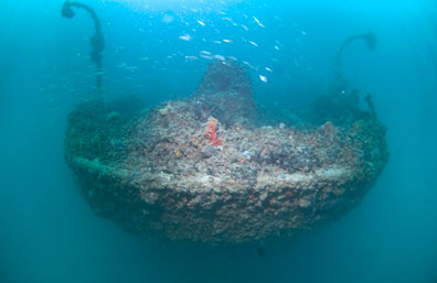 Wreck Varese — underwater photo 3