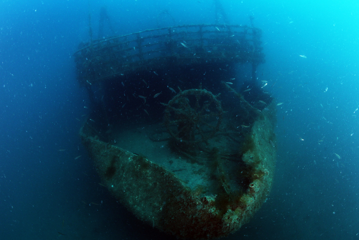 Diving Pula — underwater photo 2