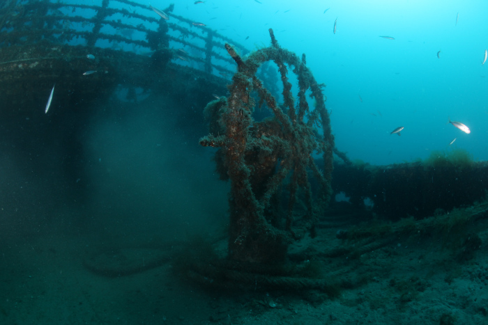 Diving Pula — underwater photo 3