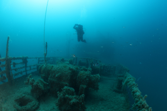 Diving Pula — underwater photo 5