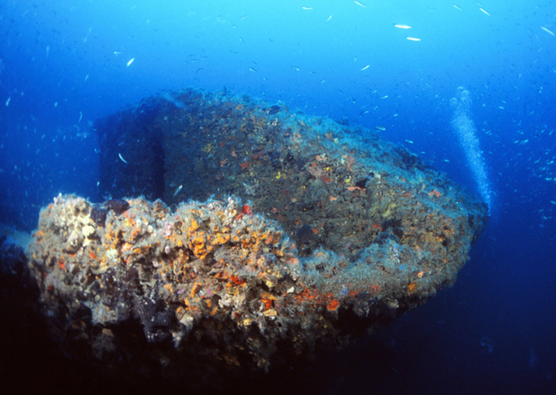 Wreck Hans Schmidt — underwater photo 2