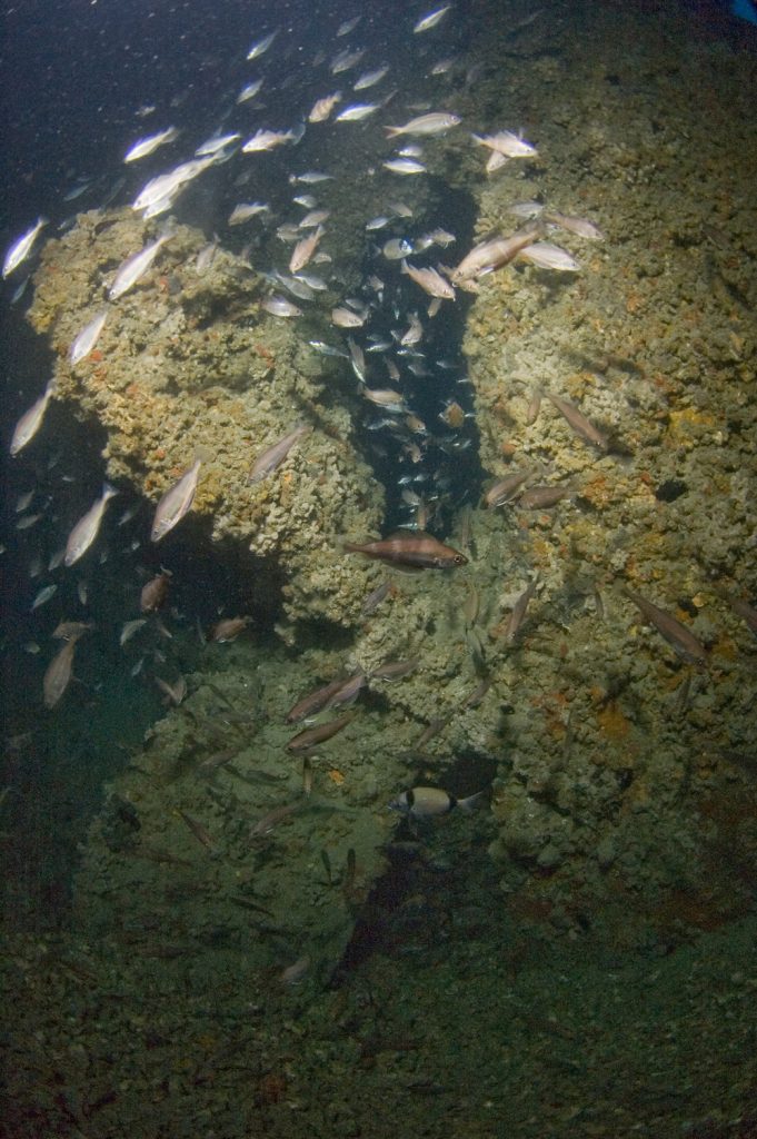 Wreck Luana — underwater photo 2
