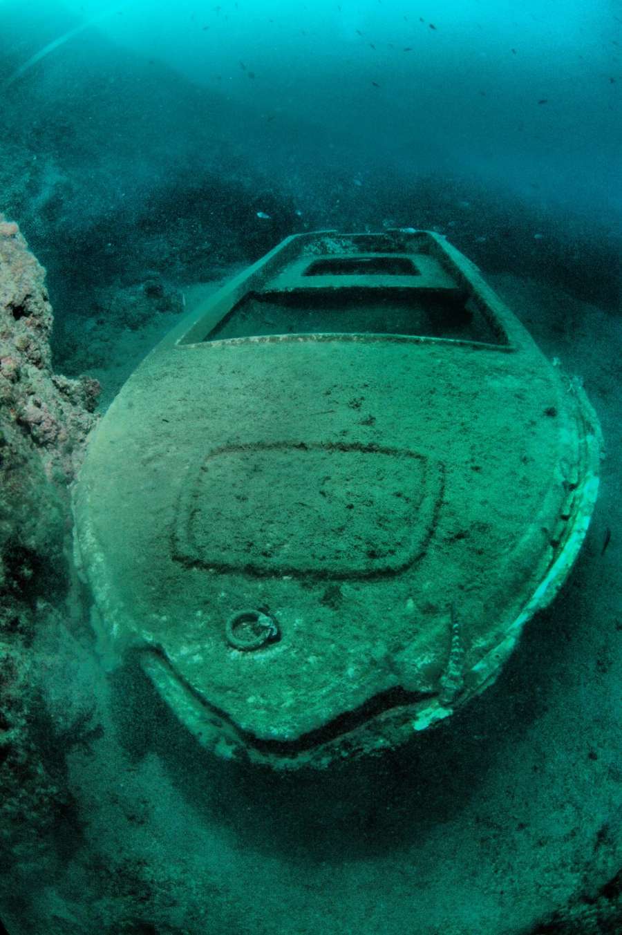 Reef Fraskeric — underwater photo 2