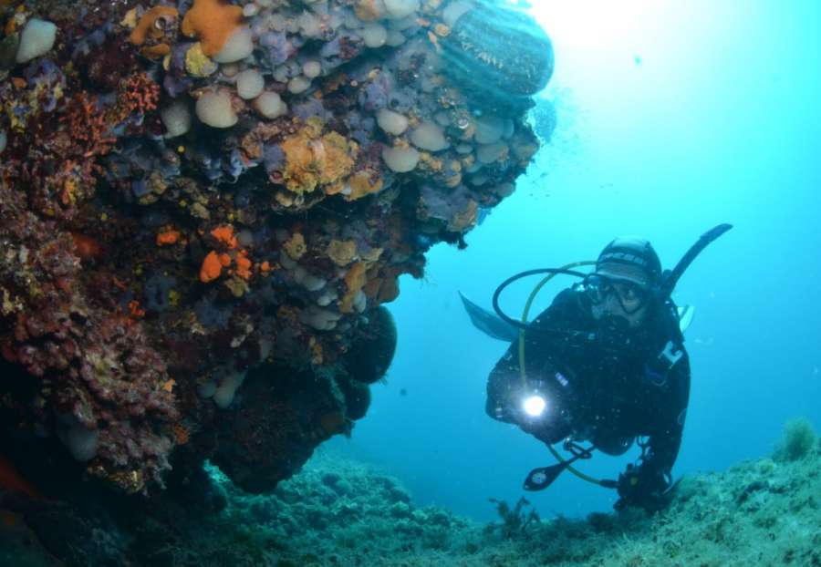 Reef National Park Brijuni — underwater photo 2