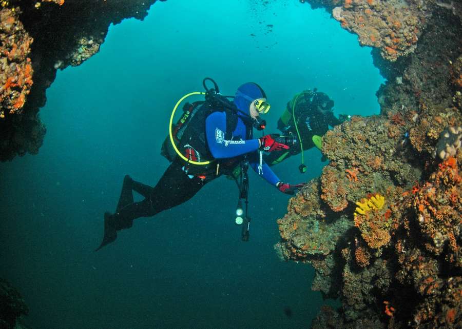 Reef Bumbiste — underwater photo 3