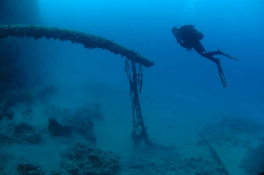 Reef Jarbol — underwater photo 3