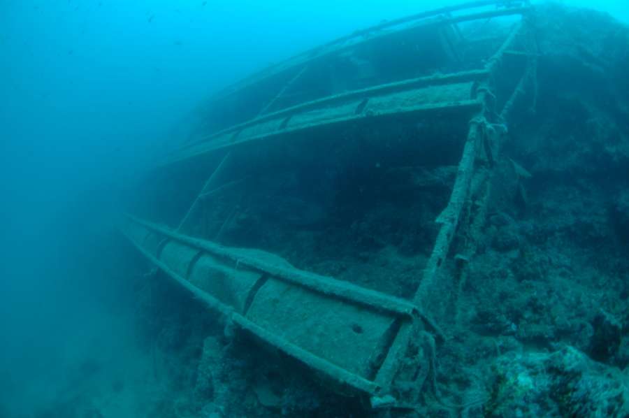 Reef Svjetionik — underwater photo 3