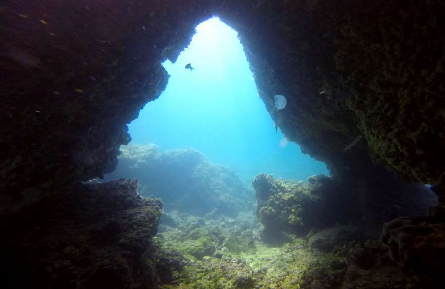 Reef Kanjon — underwater photo 2