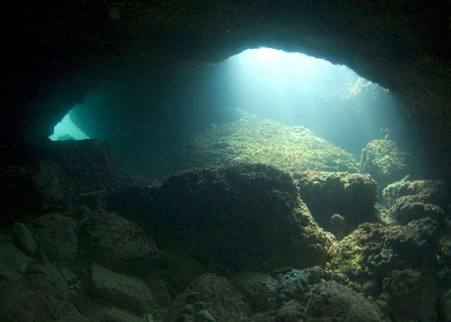 Reef Galebove stijene — underwater photo 3